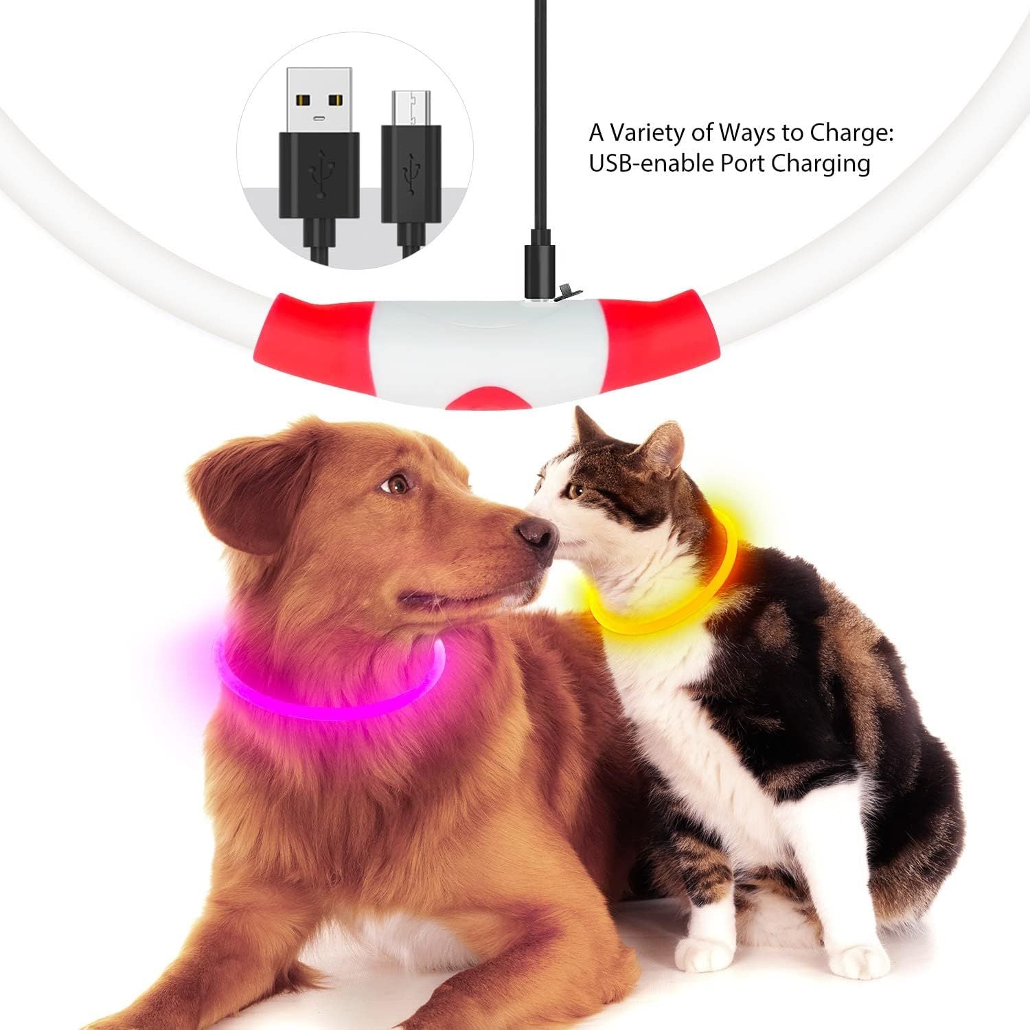 Rechargeable LED Dog Collar