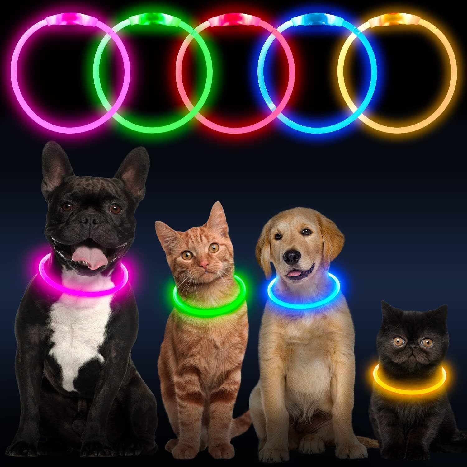 Rechargeable LED Dog Collar