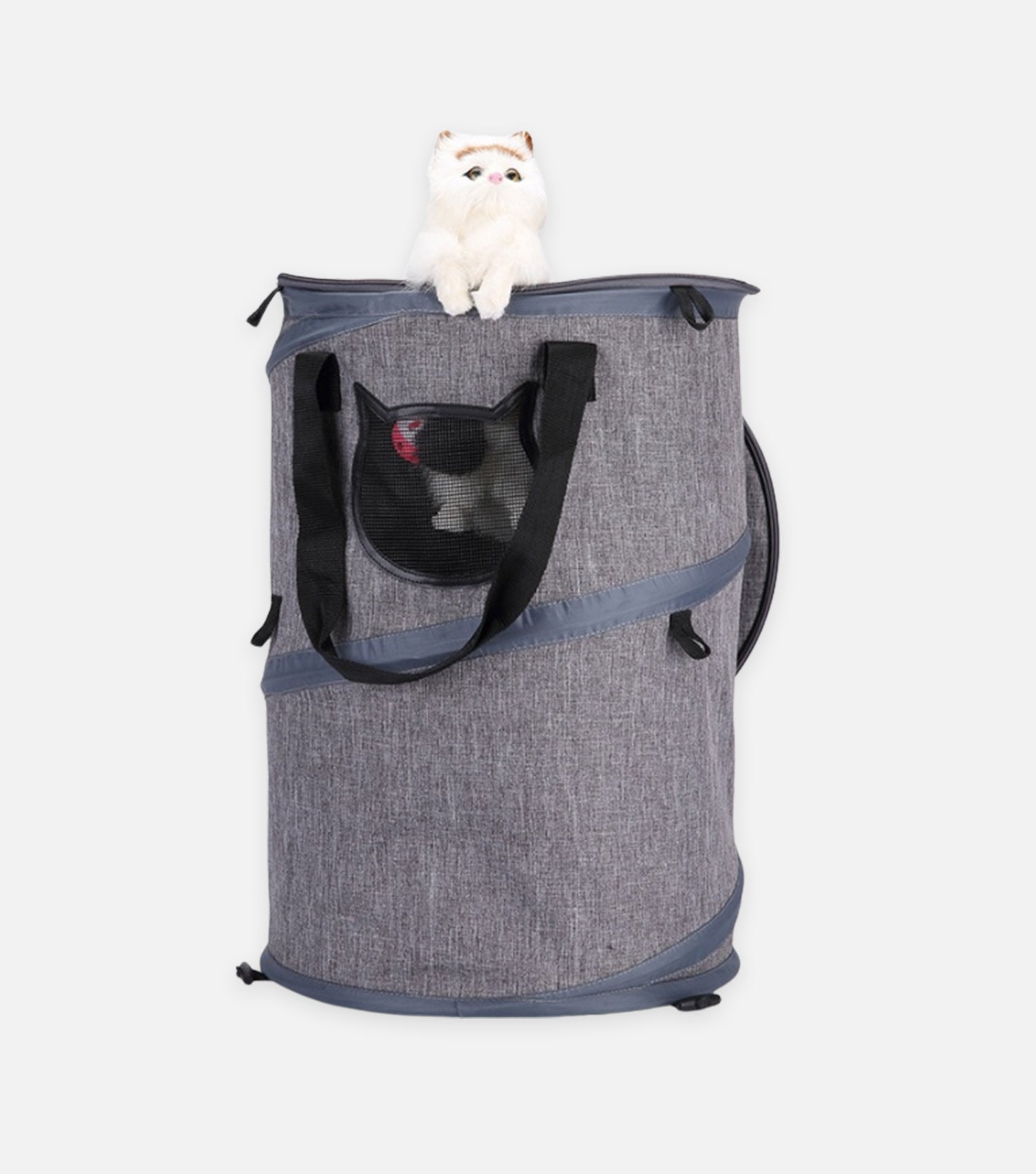 Pet Travel Carrier Duo