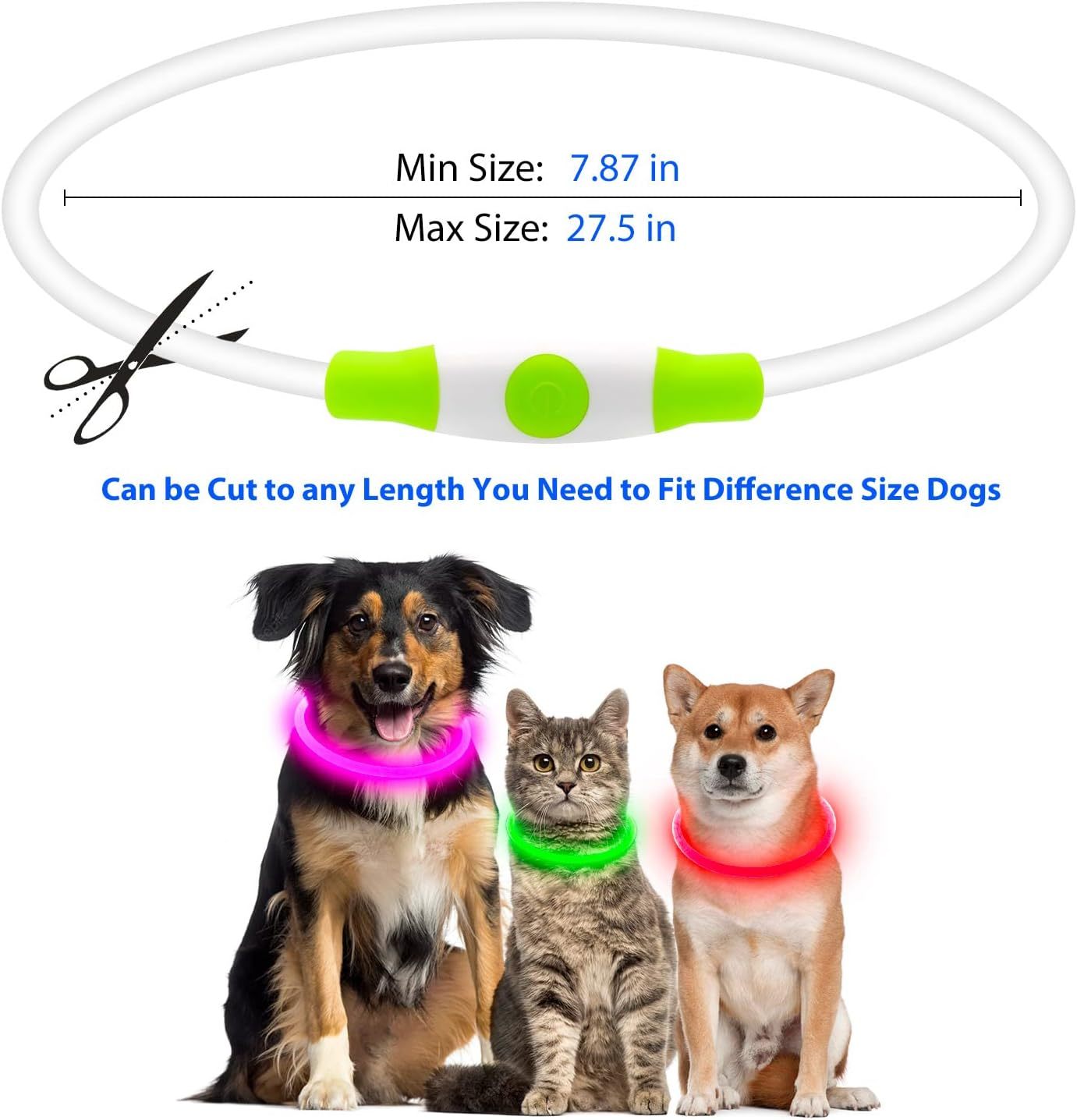 Rechargeable LED Dog Collar