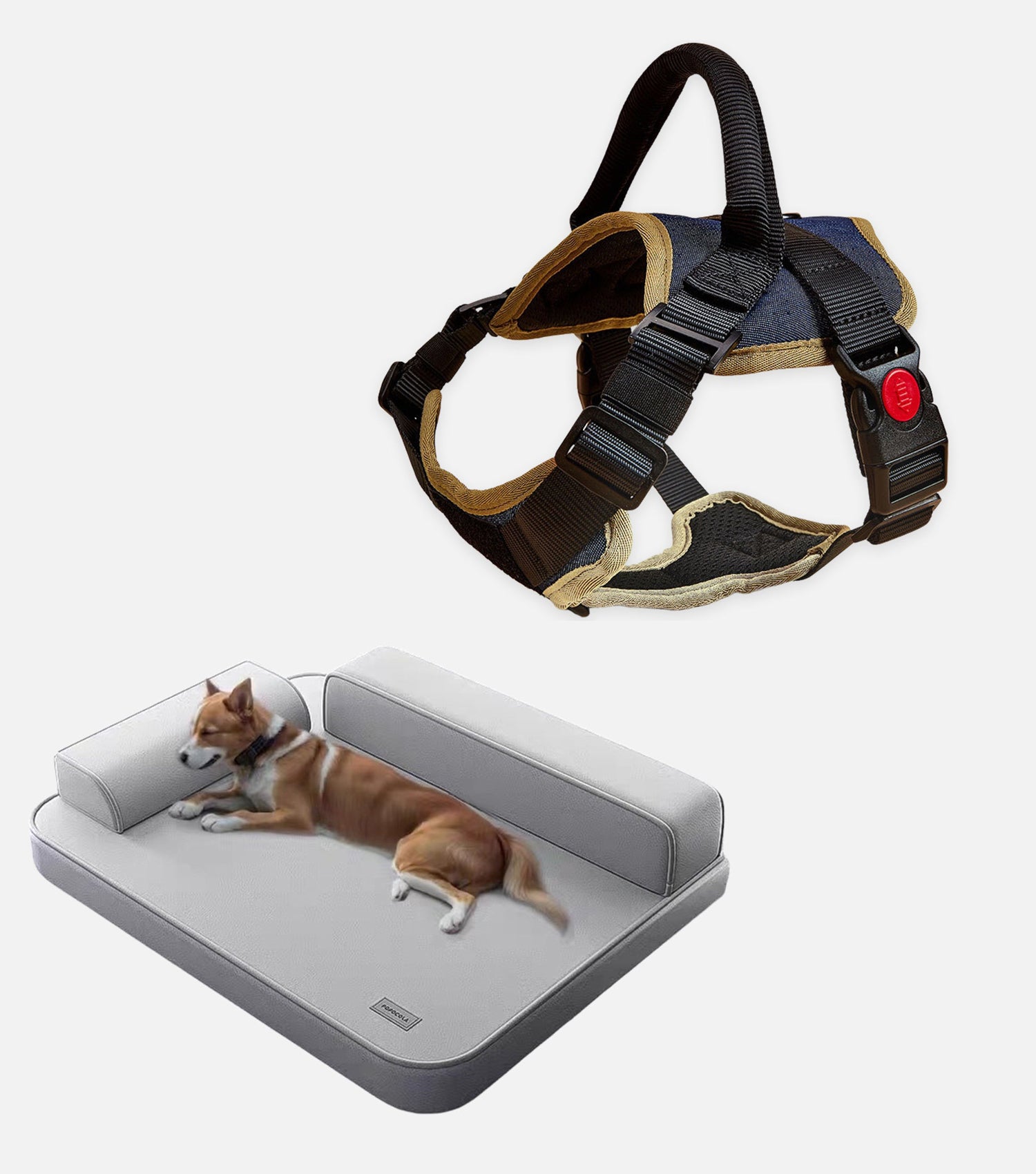 Dog Bed + Harness Bundle