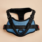 Dog Bed + Harness Bundle