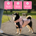 Windproof Rainproof Dog Jacket