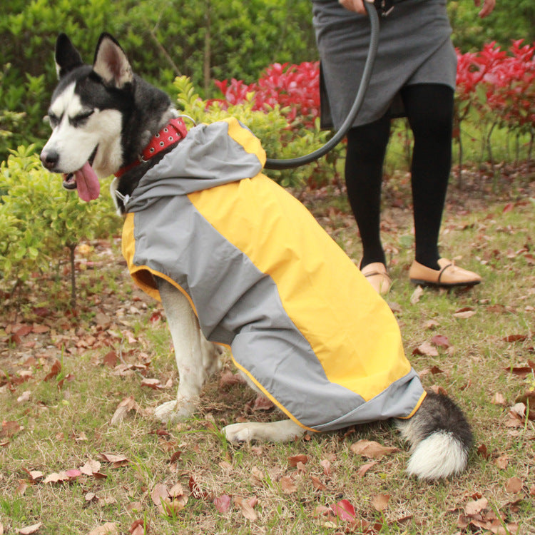 Color Block Dog Raincoat