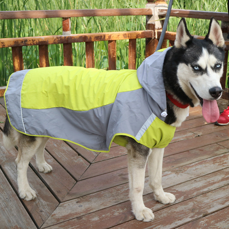 Color Block Dog Raincoat