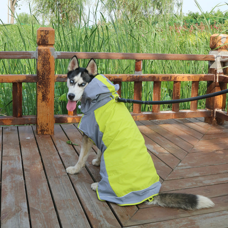 Color Block Dog Raincoat