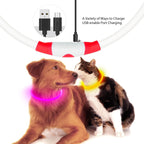 Rechargeable LED Dog Collar