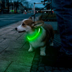 Rechargeable LED Dog Collar