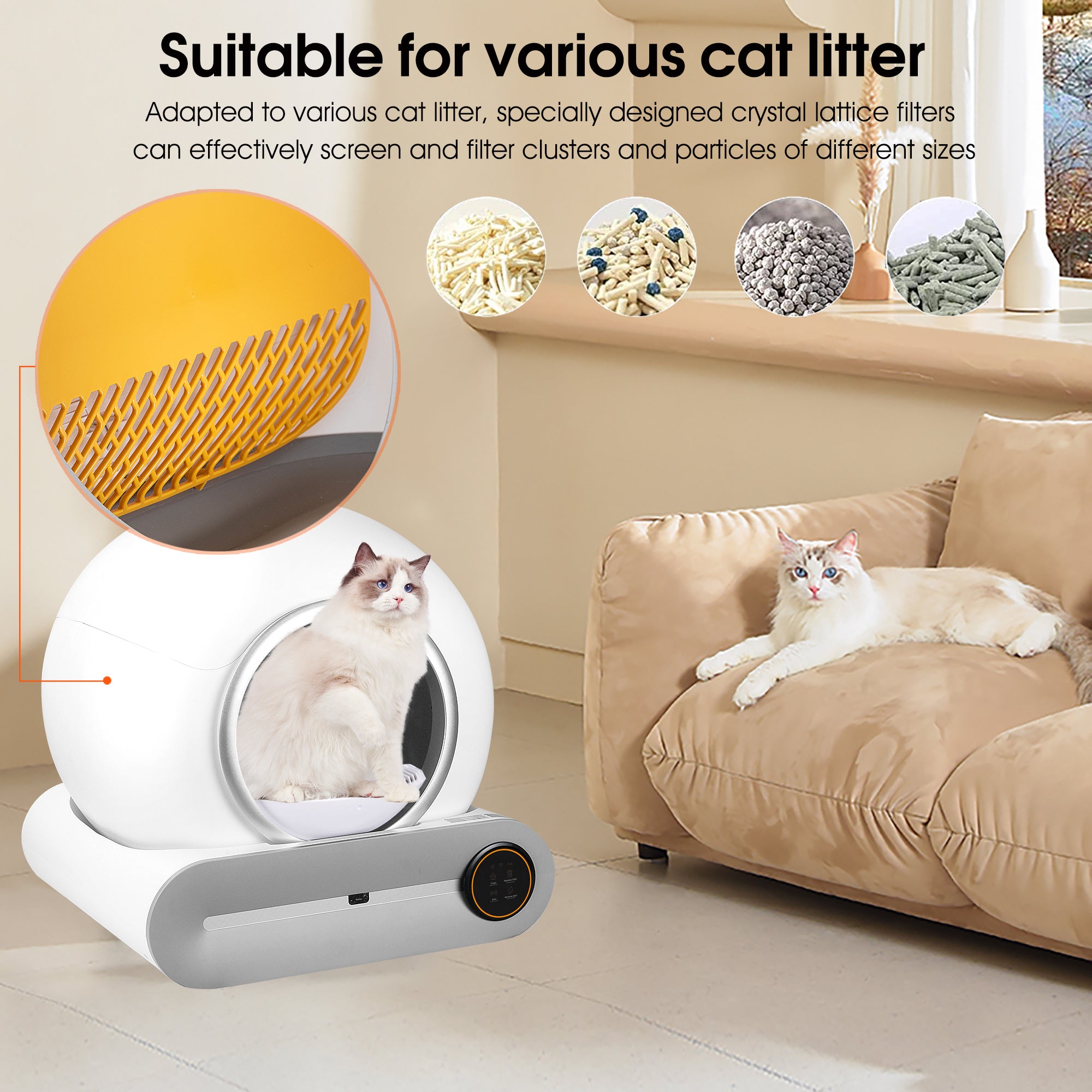 Automatic Self-Cleaning Litter Box