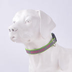Personalized Reflective Dog Collar