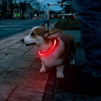 Rechargeable LED Dog Collar