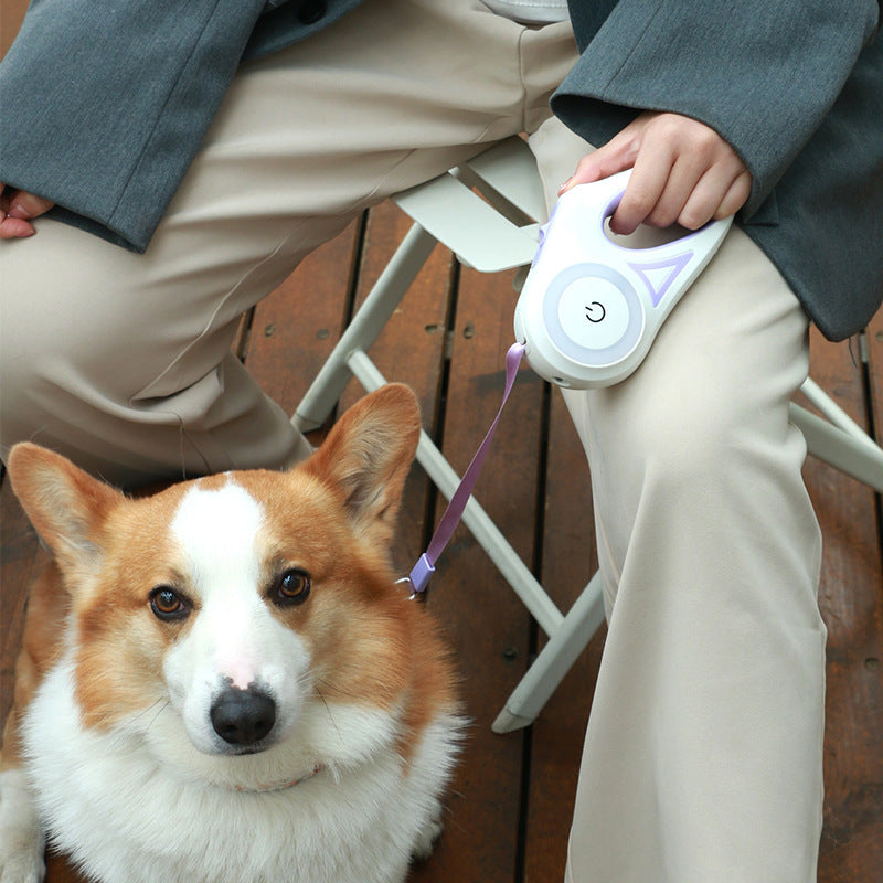 Retractable Leash with Dog Collar