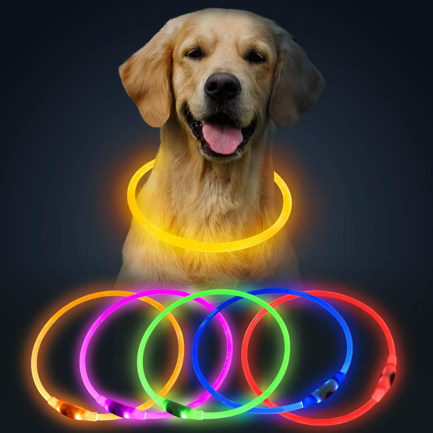 Rechargeable LED Dog Collar