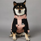 Windproof Rainproof Dog Jacket