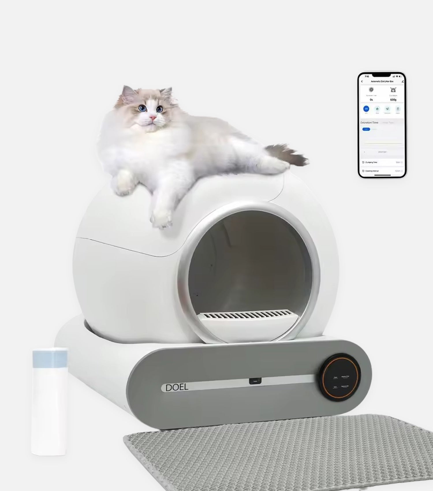 Automatic Self-Cleaning Litter Box