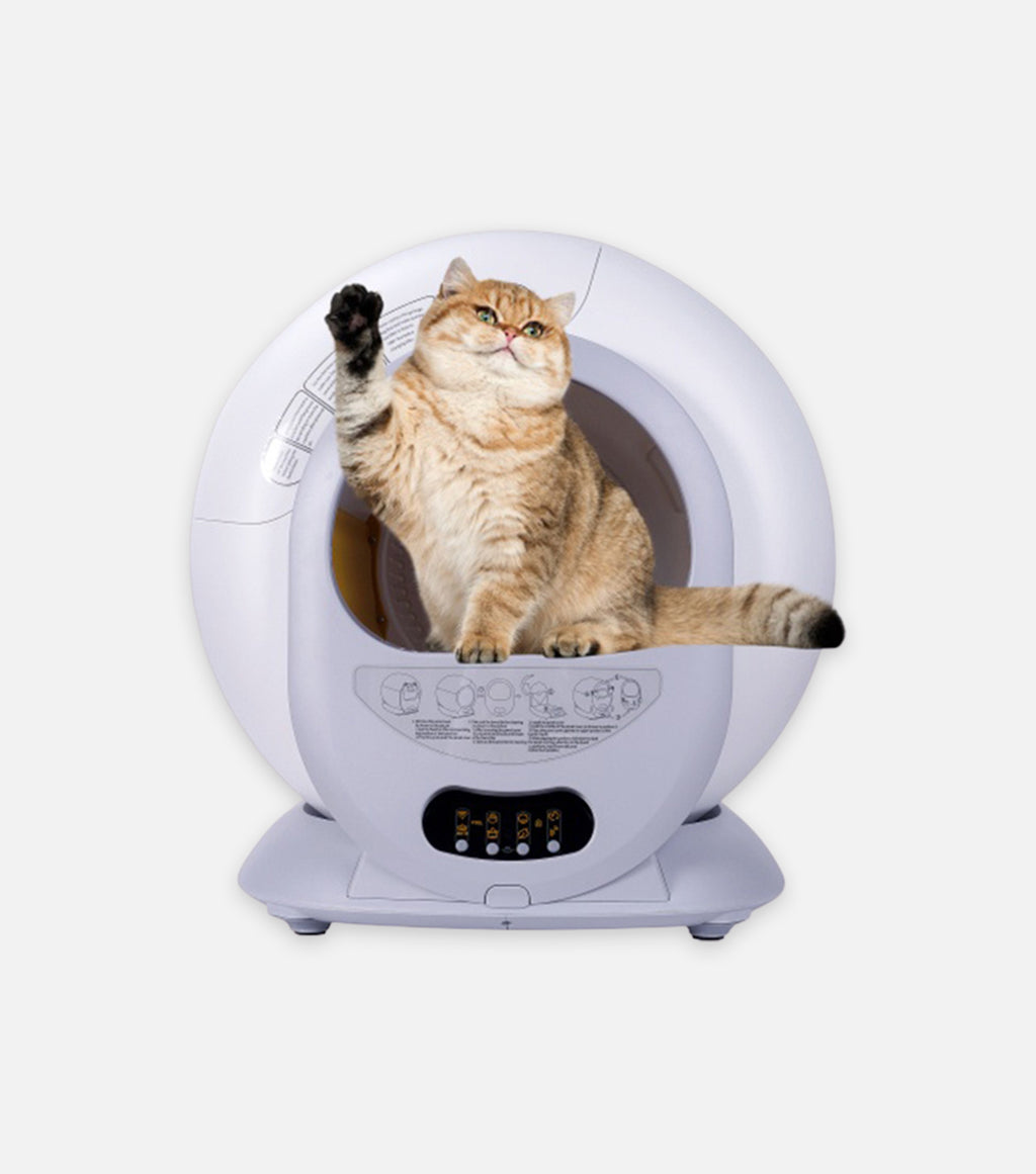 Automatic Self-Cleaning Cat Litter Box
