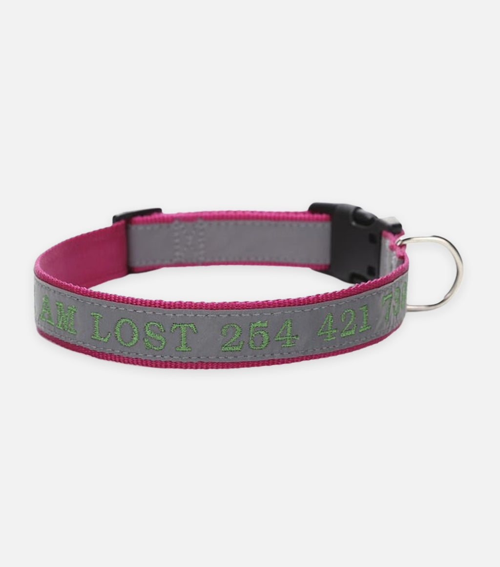 Personalized Reflective Dog Collar