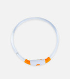 Rechargeable LED Dog Collar