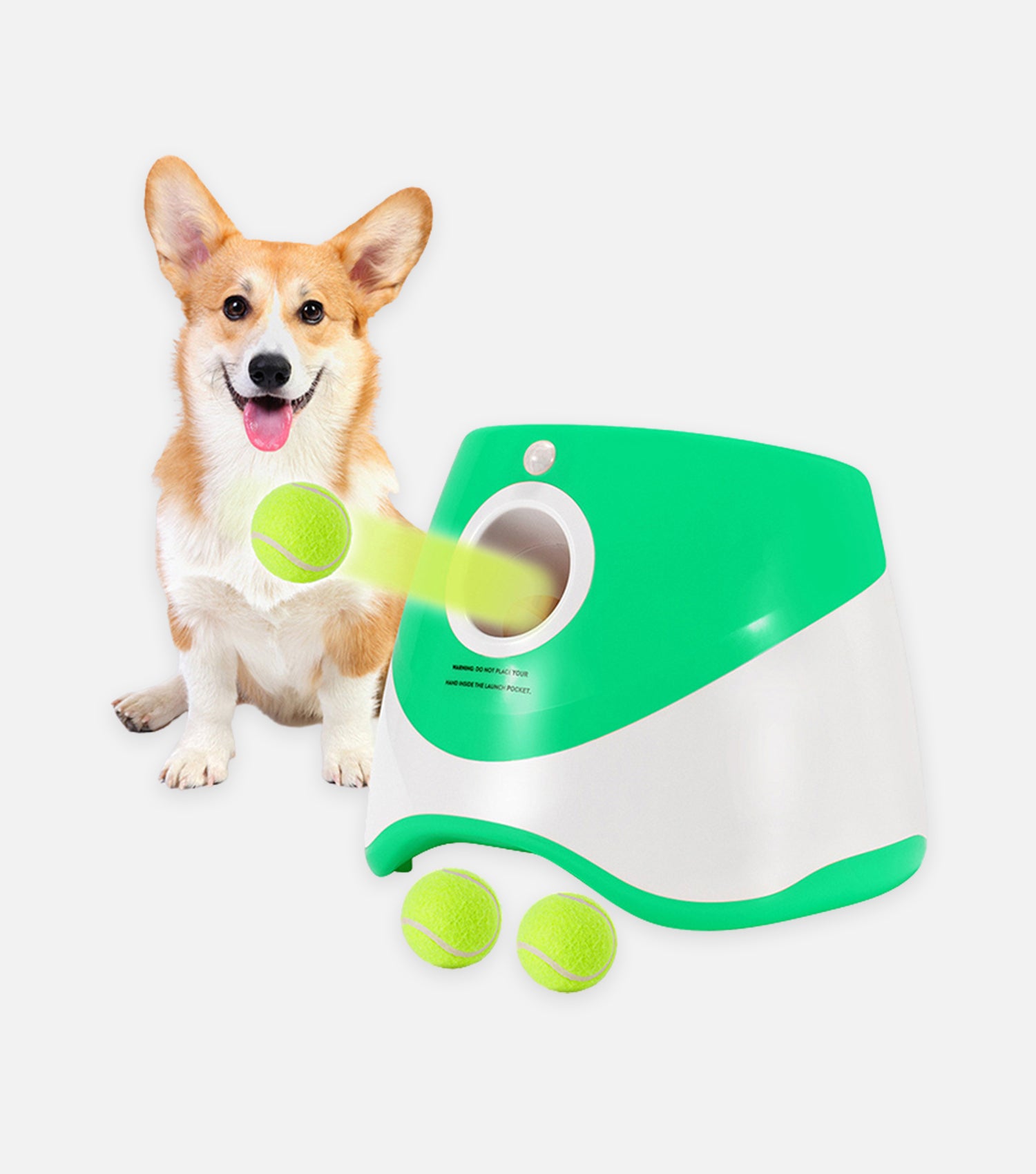 Automatic Pet Ball Launcher
