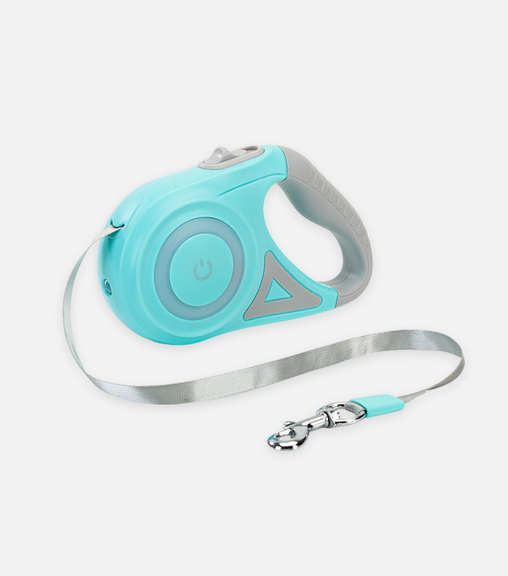 Retractable Leash with Dog Collar