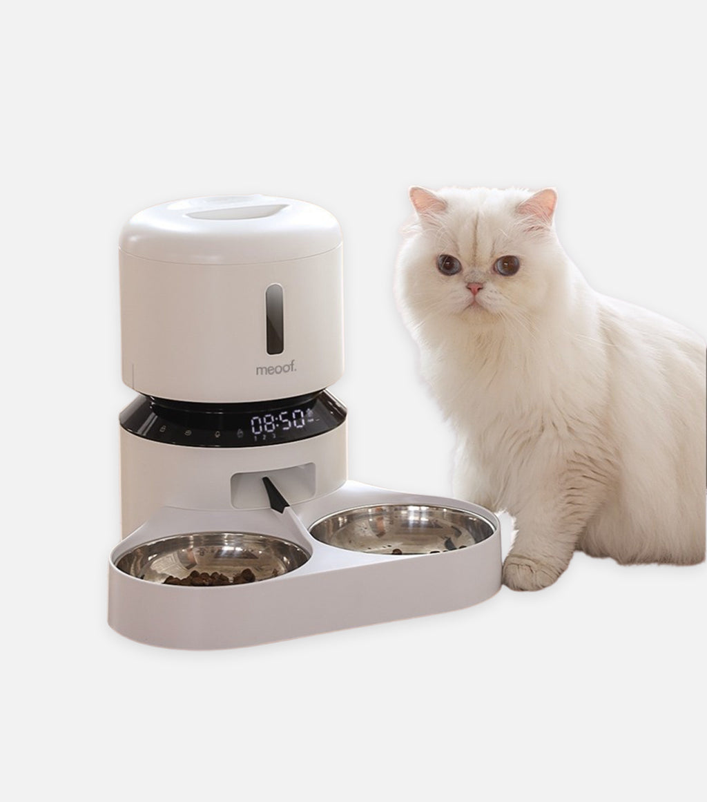 Capsule Feeder + Water Fountain Bundle