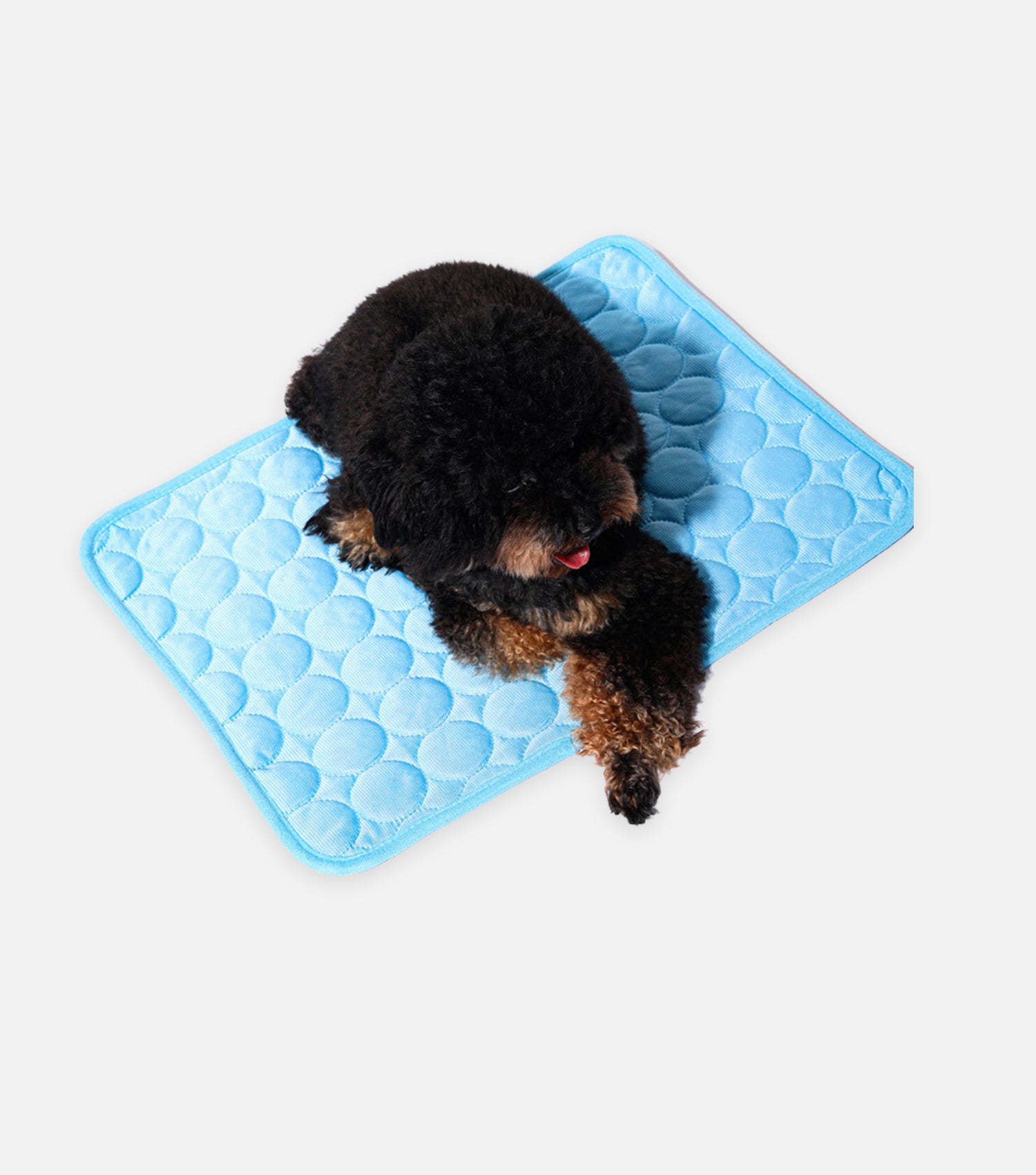 Pet Cooling Ice Mat
