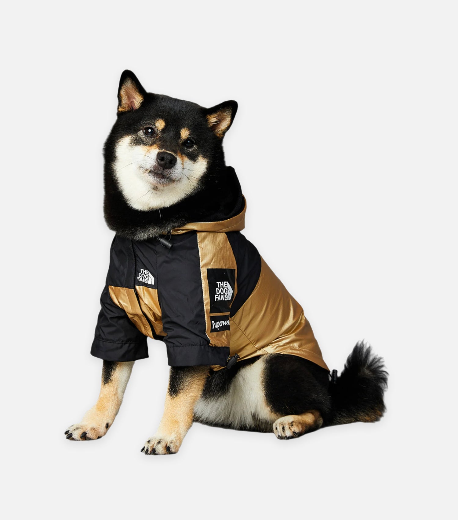 Gold Shell Dog Jacket