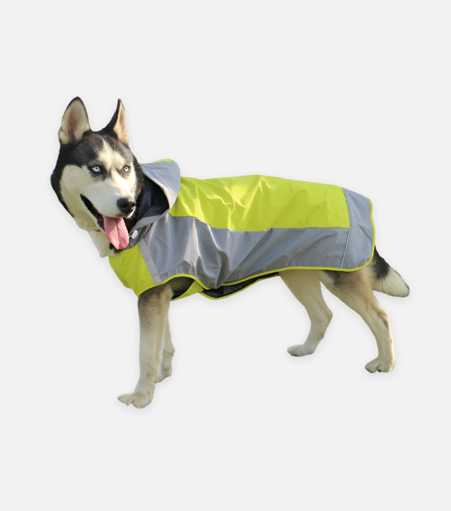 Color Block Dog Raincoat