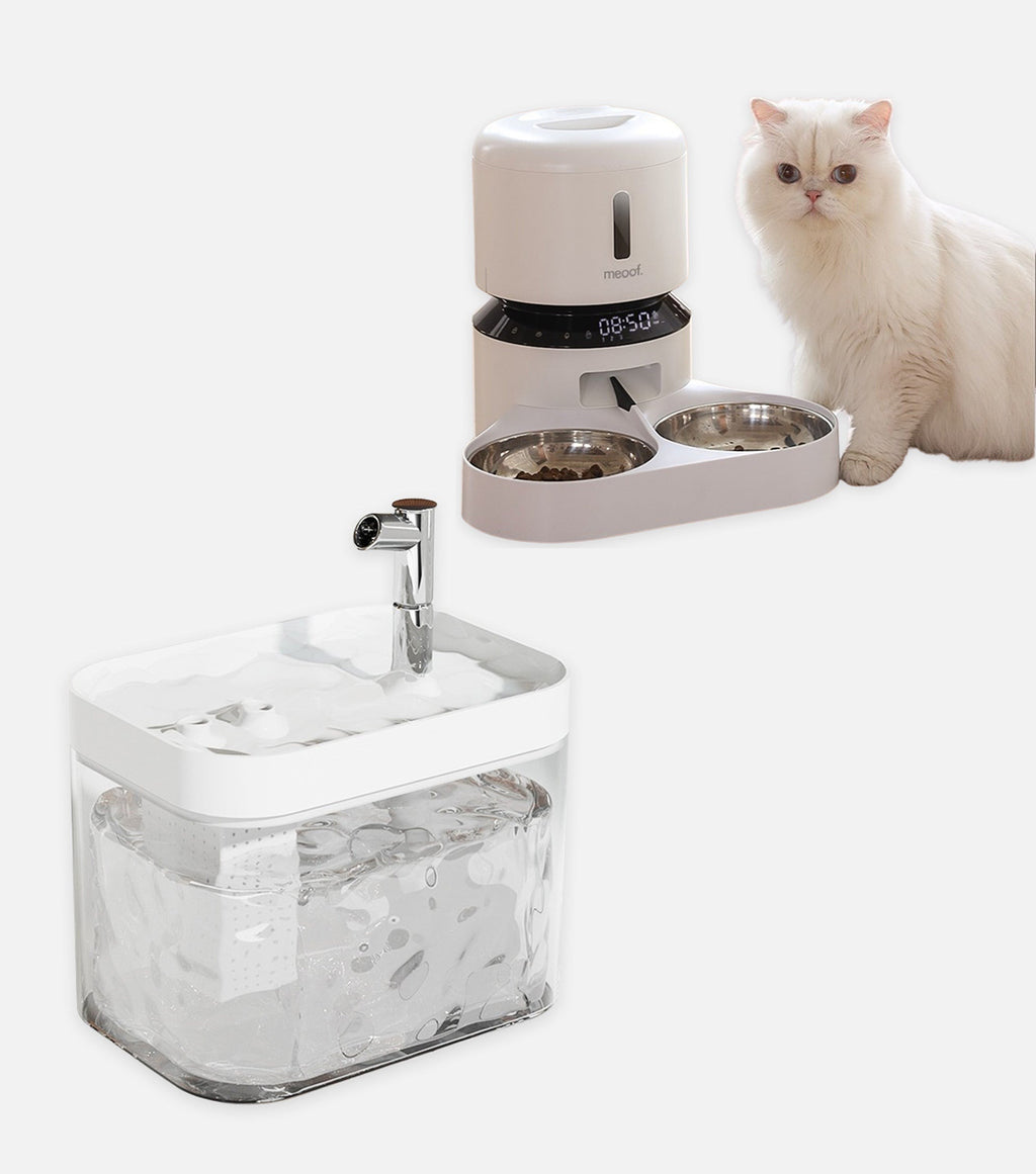 Capsule Feeder + Water Fountain Bundle