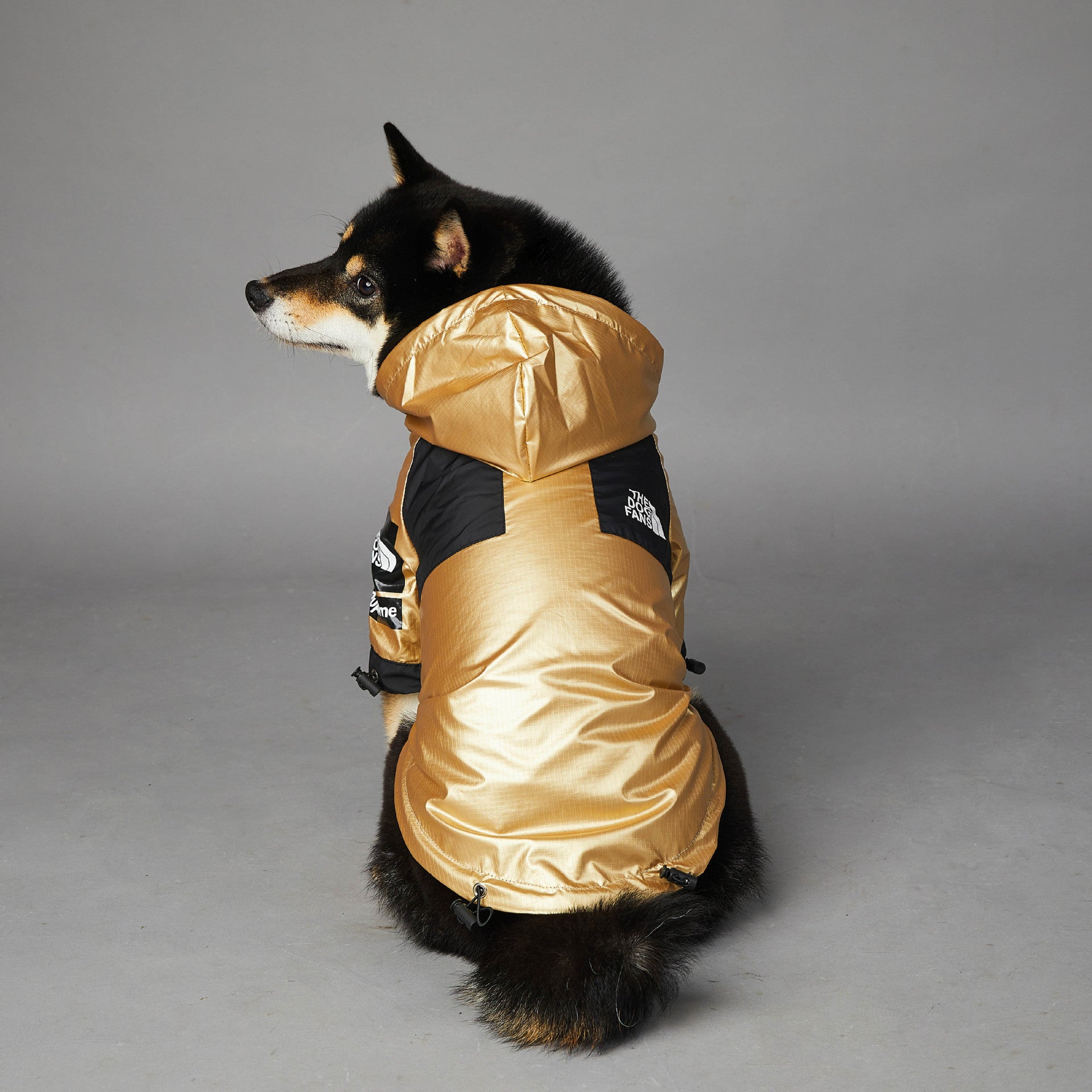 Gold Shell Dog Jacket