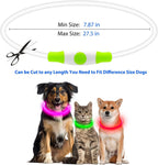 Rechargeable LED Dog Collar