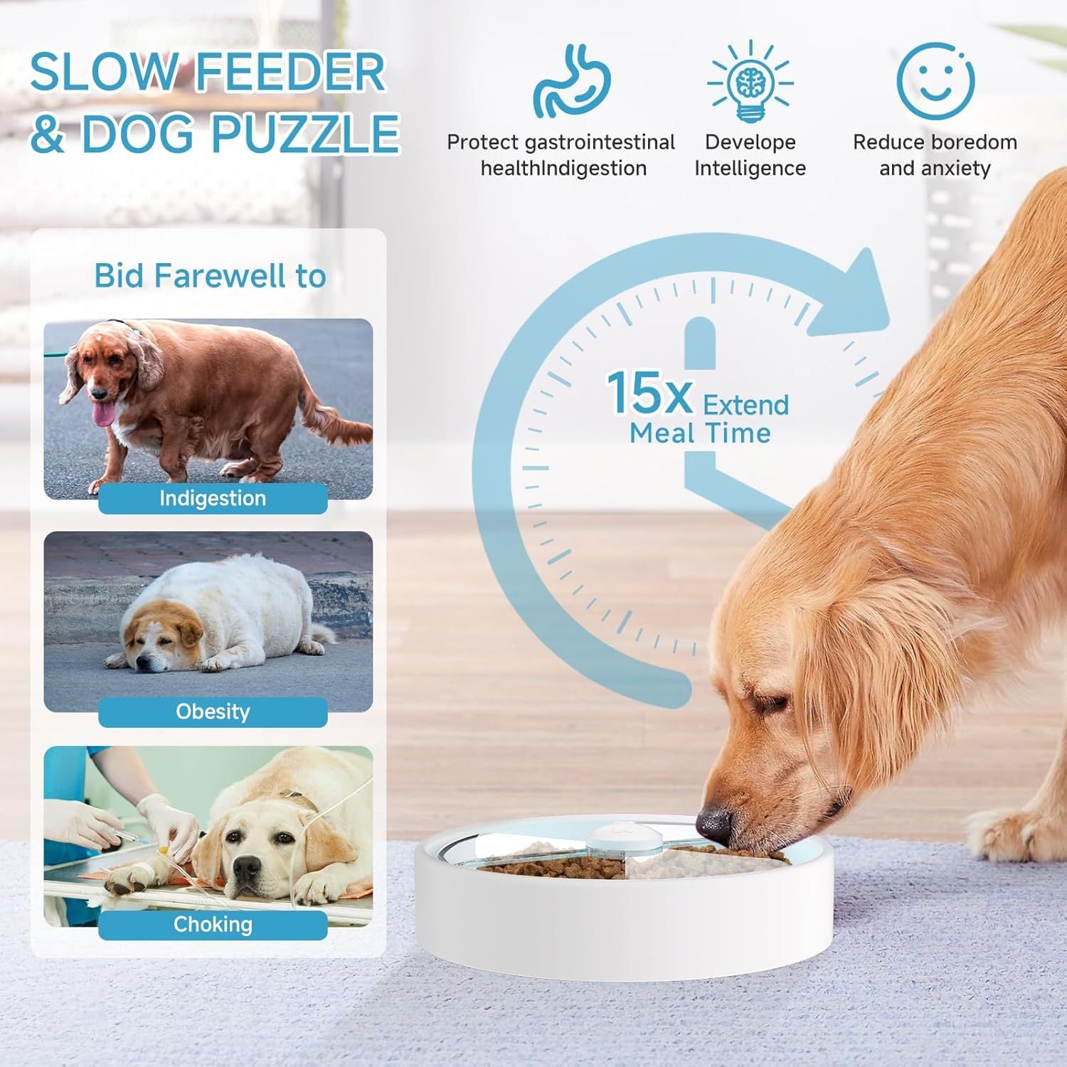 Slow Feeder Dog Bowl