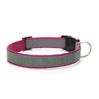 Personalized Reflective Dog Collar