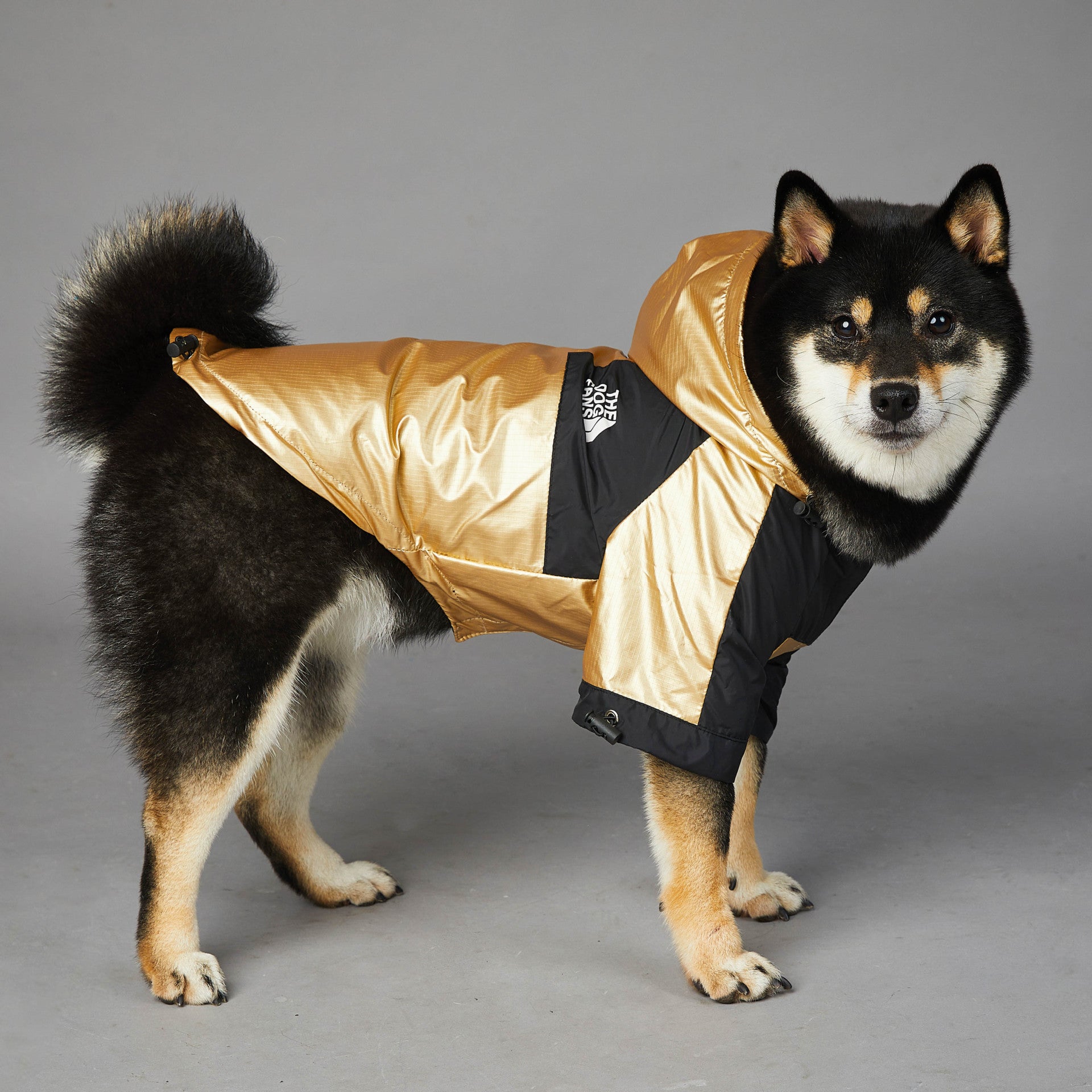 Gold Shell Dog Jacket